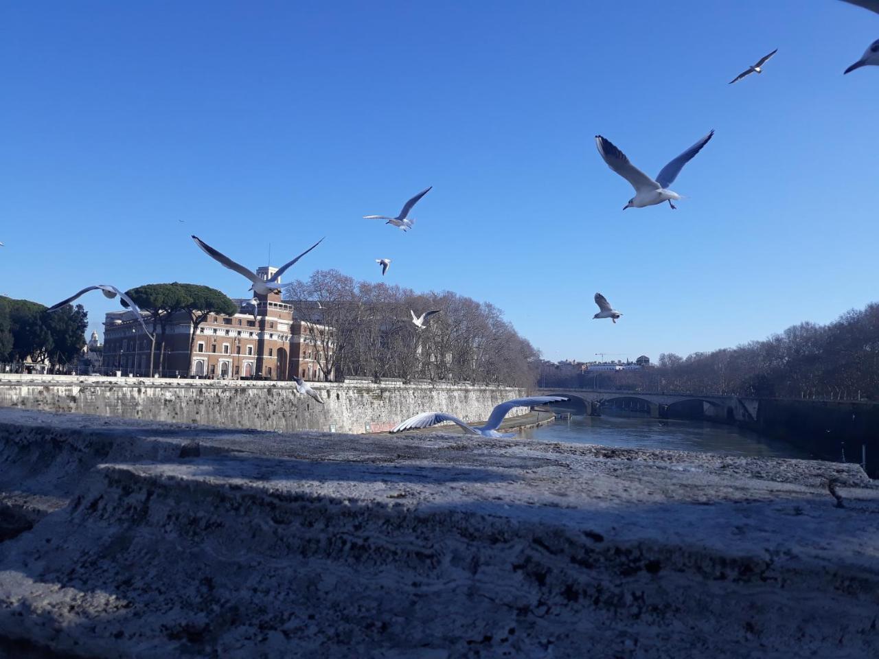 Lungotevere Collection Suite Řím Exteriér fotografie